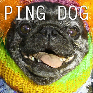 Ping Dog