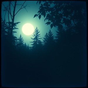 静かな夜のささやき