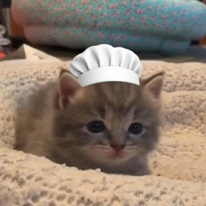 左慈.代号鸢初见日纯音乐