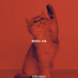 温和可爱的猫梦想