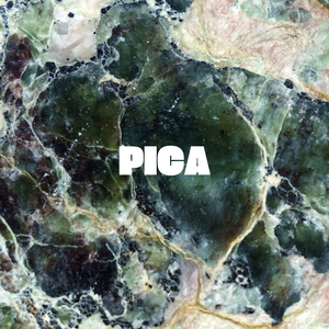 Pica