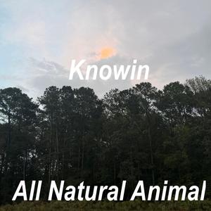 Knowin