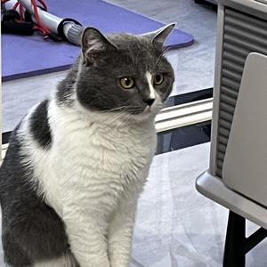 特种兵成了哥布林_1