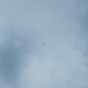 不渡青山不渡你