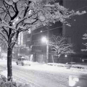 思念无声深似海