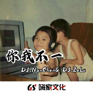 Love Me Like You Do(Remix)