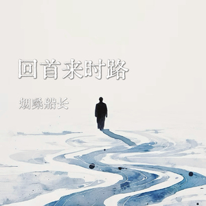 回首来时路