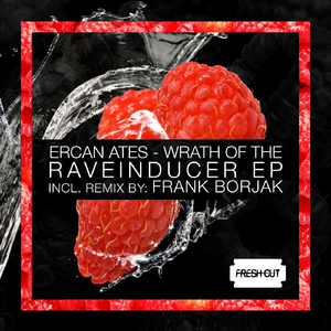Wrath of the Raveinducer (Frank Borjak remix)