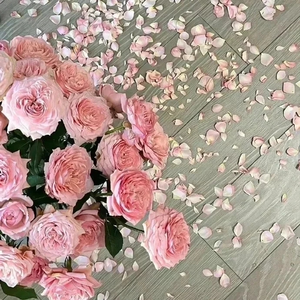 甜蜜陷阱 SOUL&JAZZ POP BEAT