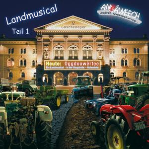 Liesl werd Wêikeeniche