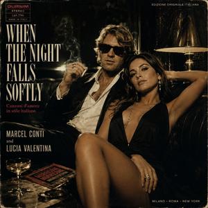 When The Night Falls Softly