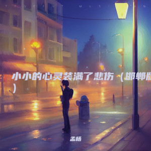 小小的心灵装满了悲伤 (邯郸版)