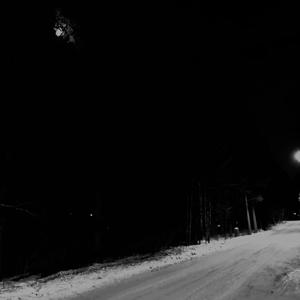 Minulle kerrottiin että löydän toisesta metsästä puun joka tahtoo laulaa kanssani