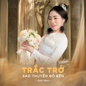 Trả Lại Ân Tình / Tình Đã Trao Anh