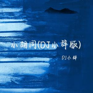 小胡同（DJ小辞版）