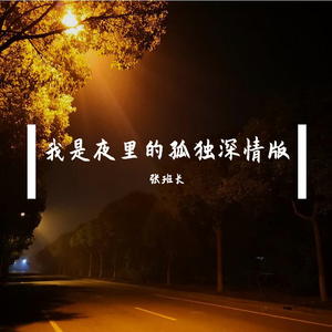 我是夜里的孤独男生版
