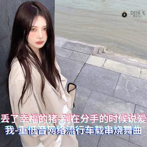 DJ国飞-丢了幸福的猪-别在分手的时候说爱我-重低音网络流行车载串烧舞曲（DJ国飞 remix）