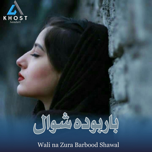 Wali na Zura Barbood Shawal