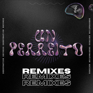 Un Perreito (Remix)