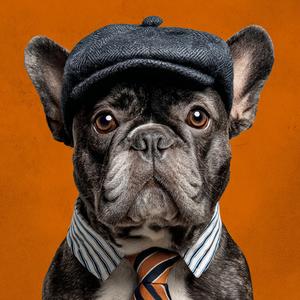 City Without Traffic Lights