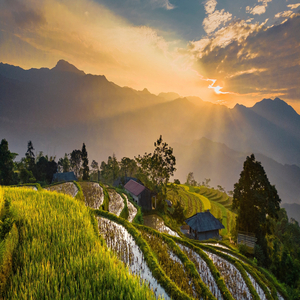 The Wind That Gives Calming Vibes, Pt. 9