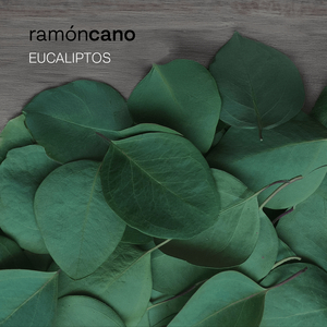 Samaritanas
