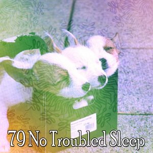 屈服于你的疲倦