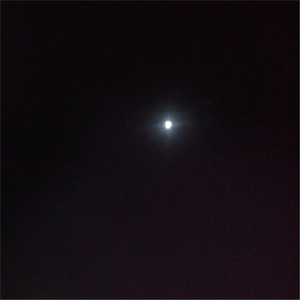 Somewhere Along the Line