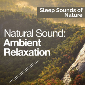 Gentle British Birds