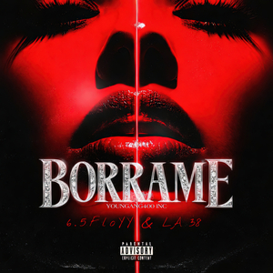 Borrame