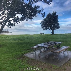 为你写的歌 (live)