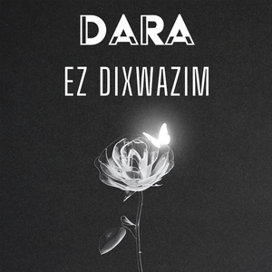 Ez Dixwazim