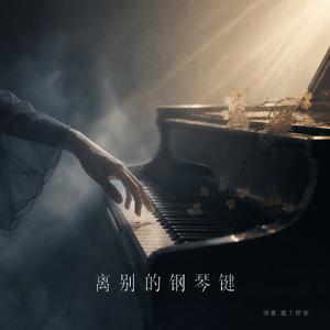 离别的钢琴键