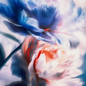 你是最甜的梦境