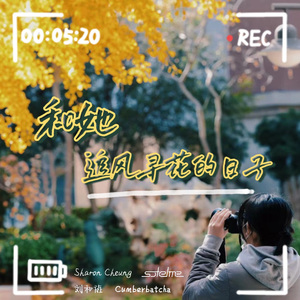 和她追风寻花的日子