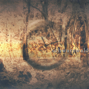 荒野に咲く一輪の花