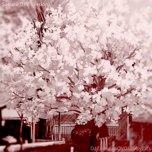 Sakura(DJ Z Version)