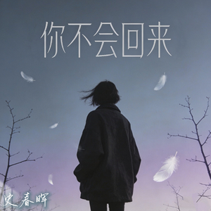 你不会回来(史春晖演唱）1 27.mp3