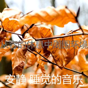 有趣休息中情怀