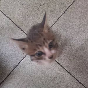 忘记（prod.by DayOne )