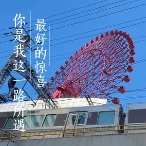 你是我这一路所遇最好的惊喜