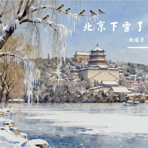 北京下雪了 #AI创作大赛2025最后一首情歌赛季