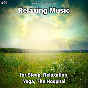 Relaxation Music Pt. 75