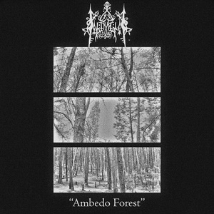 Love "Nothing Is Eternal, Just Ethereal"