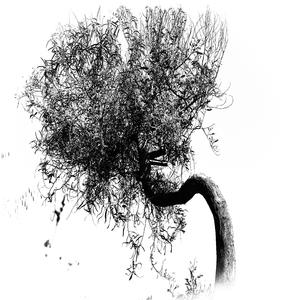 Jivaeri - Η ξενιτιά