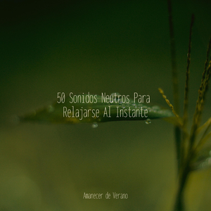 La Adivinación del Viaje Místico