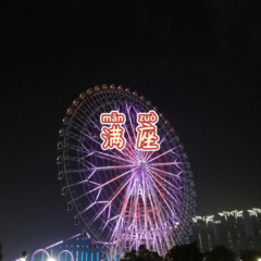 我是傻瓜 (痴情版)