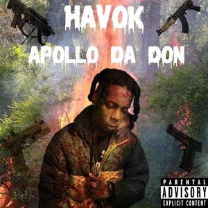 Havok