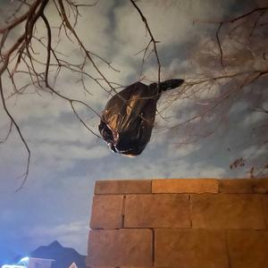 YKTSF (feat. Prod. BeatsEdyMade)