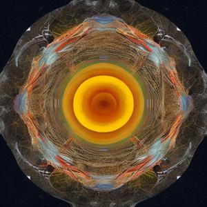 I Don’t Want to be the world